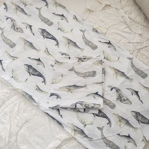 {Pottery Barn} Sea Pod King Pillowcases